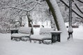 Avenue with a row of benches during strong wind and snowstorm at winter in Moscow, Russia. Scenic view of a snowy city Royalty Free Stock Photo