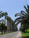 Avenue in San Isidro district of Lima Royalty Free Stock Photo