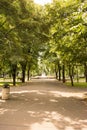 Avenue in the Sea Garden of Burgas with fountain Royalty Free Stock Photo