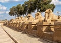 Avenue of the Sphinxes from the first pylon of the Karnak Temple in Luxor, Egypt. Royalty Free Stock Photo