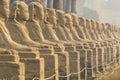 Avenue of the Sphinxes, Luxor Temple, Egypt Royalty Free Stock Photo