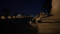 Avenue of the Sphinxes at Night Royalty Free Stock Photo