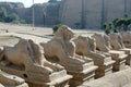 Avenue of sphinxes in the Precinct of Amun-Re (Karnak Temple Complex, Luxor, Egypt)