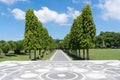 Avenue with tall trees in Denpasar