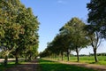 Avenue toward Falkenlust - BrÃÂ¼hl, Germany