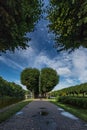 Avenue of trees in the form of a divided heart on the Moika River embankment in the city center Royalty Free Stock Photo