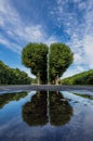 Avenue of trees in the form of a divided heart on the Moika River embankment in the city center Royalty Free Stock Photo