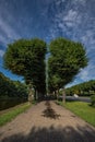 Avenue of trees in the form of a divided heart on the Moika River embankment in the city center