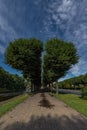 Avenue of trees in the form of a divided heart on the Moika River embankment in the city center Royalty Free Stock Photo