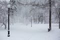 Avenue with trees and lanterns during strong wind and snowstorm at winter in Moscow, Russia. Scenic view of a snowy city Royalty Free Stock Photo