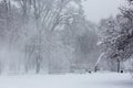 Avenue with trees during strong wind and snowstorm at winter in Moscow, Russia. Scenic view of a snowy city street Royalty Free Stock Photo