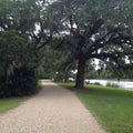 Avery Island