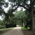 Avery Island