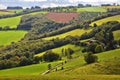 Aveyron rural summer view in France