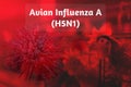 Avian Influenza A H5N1 outbreak concept on chicken farm background. Avian influenza A virus subtype H5N1. Human infection with