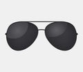 Aviator police isolated sunglasses .