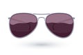 Aviator sunglasses icon fashion vector