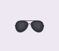 Aviator sunglasses icon. Fashionable black accessory protect eyes from glare.