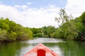 Take a scenic avicennia alba forest boat ride at mangrove forest in Thailand Royalty Free Stock Photo