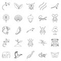 Avifauna icons set, outline style Royalty Free Stock Photo