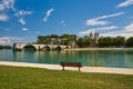 Avignon Bridge Royalty Free Stock Photo