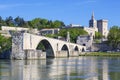 Avignon Bridge with Popes Palace Royalty Free Stock Photo