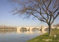 Avignon bridge in winter, France, Europe Royalty Free Stock Photo