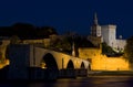 Avignon at night Royalty Free Stock Photo