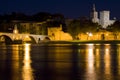 Avignon at night Royalty Free Stock Photo