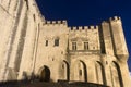 Avignon, Palais des Papes by night Royalty Free Stock Photo