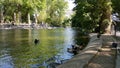 Avignon parc Royalty Free Stock Photo