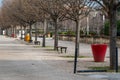 Avignon, Vaucluse, France - Empty city park with bare winter trees