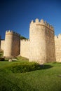 Avila city turret piece