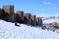 Beautiful view of the medieval Wall of Avila in a winter day.