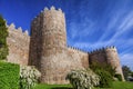 Avila Turrets Castle Walls Cityscape Castile Spain Royalty Free Stock Photo