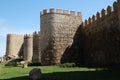 The Avila Walls, Spain Royalty Free Stock Photo