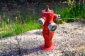 AVK text sign and brand logo on french nf wet barrel fire hydrant