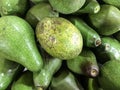 Avocado Royalty Free Stock Photo
