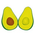 Avocado vector