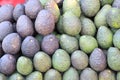 Avocado also refers to the Avocado tree's fruit, which is botanically a large berry containing a single seed. Royalty Free Stock Photo