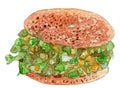 Avocado Bagel Sandwich Watercolor Illustration 2