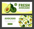 Avocado Banner And Poster Design With Green Fruit Vector Template