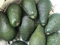 Avocado in a basket, many ripe avocados