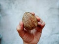 Avocado bone in hand on a light background