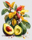 Avocado Branch Illustration, Fresh Organic Fruit Concept Royalty Free Stock Photo