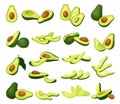 Avocado Bright Green Whole and Half Fruit with Large Seed Big Vector Set Royalty Free Stock Photo