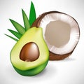 Avocado and broken coconut Royalty Free Stock Photo