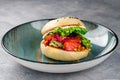 avocado burger with salted salmon and fresh vegetables. Healthy raw food, avocado burger with raw salmon and guacamole Royalty Free Stock Photo