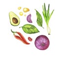 Avocado, chili pepper, red onion, green onion, garlic, leaves and oil drops set. Watercolor. Royalty Free Stock Photo