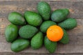 Avocado and citrus fruit Royalty Free Stock Photo